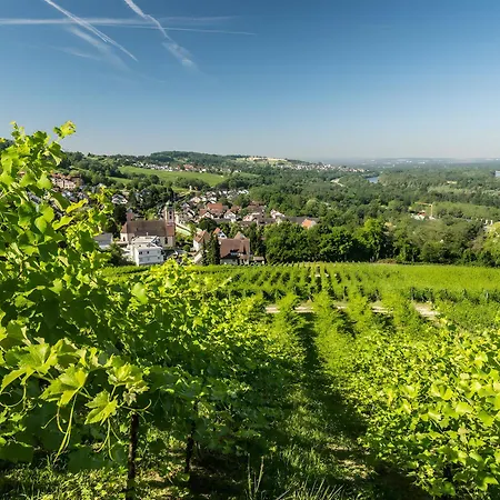 Wagner Mit 35 Qm Fr شقة باد بيلنغن